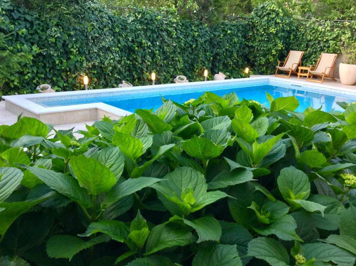 Apartments Pean Tivat Luaran gambar
